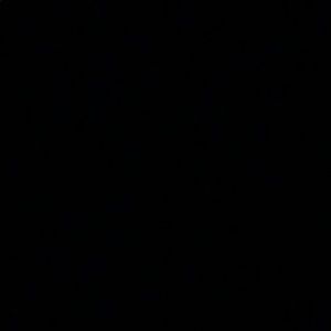 Meet your Posher, Alanna